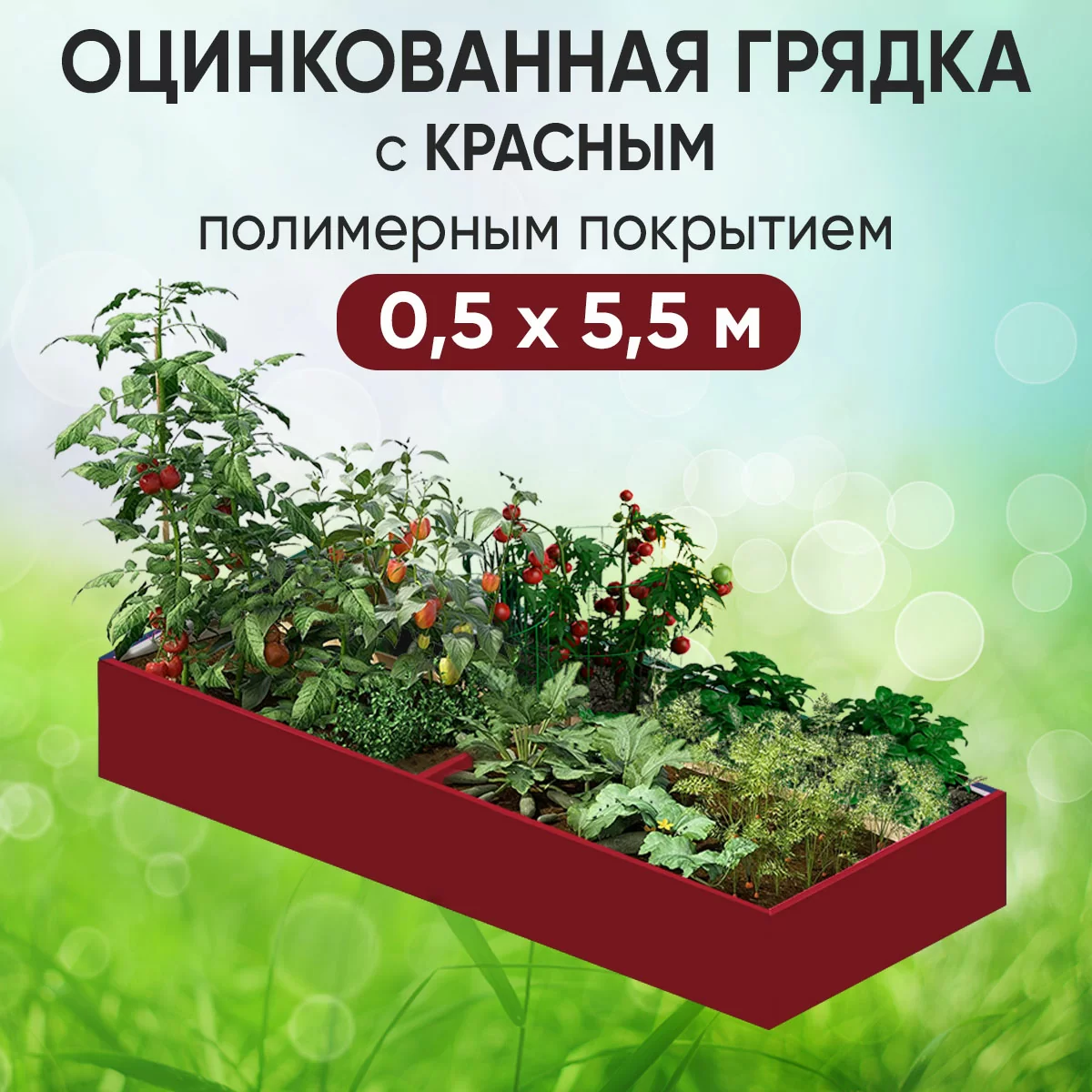 Грядка красная (0,5 х 5,5)
